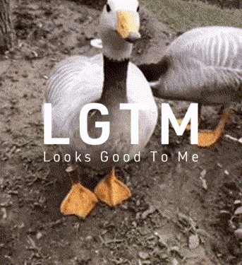 LGTM