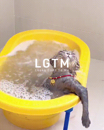 LGTM