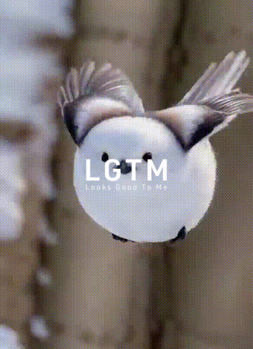 LGTM