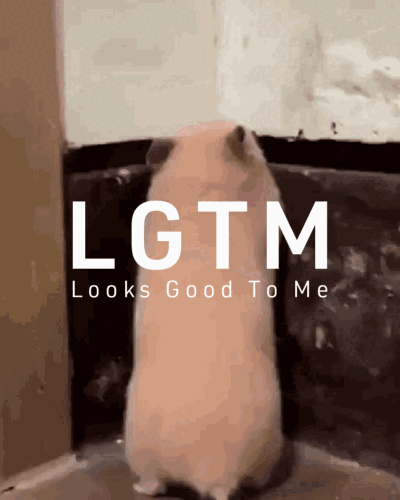 LGTM